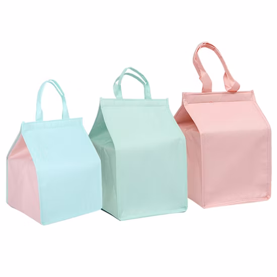Custom 6 Pack Non Woven Insulated Thermal Lunch Cooler Bag Wholesale China Manufacture